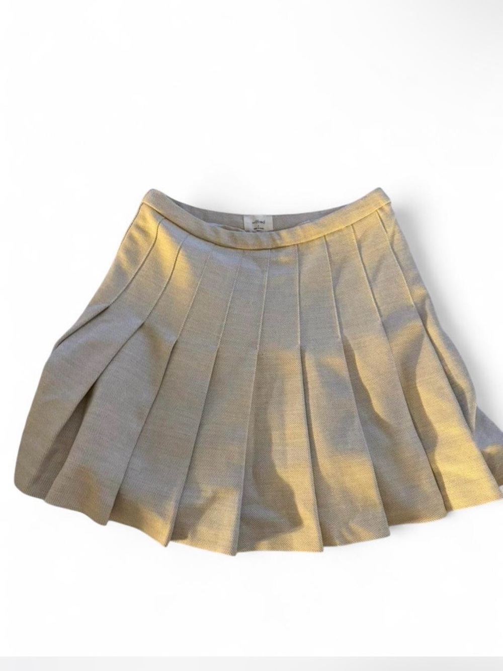 Aritzia Pleated Mini Skirt